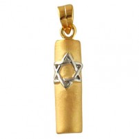 Gold Filled Star of David Mezuzah Pendant